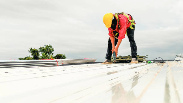 Best 4 Ply Roofing  in Edmonston, MD
