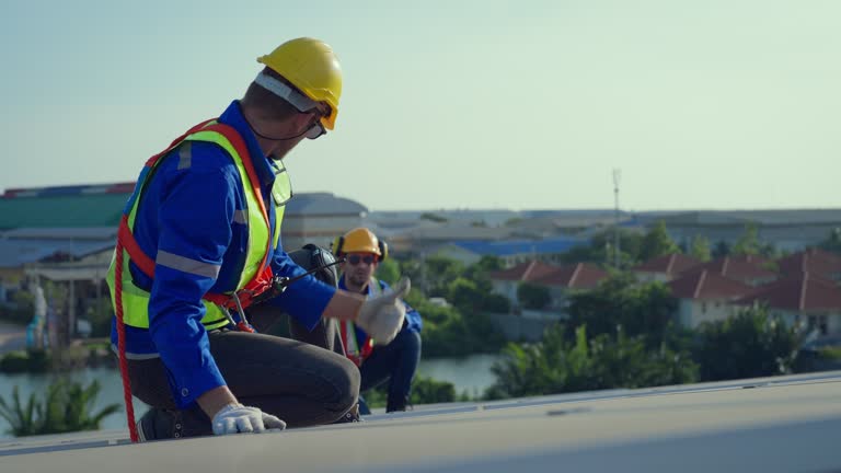 Best Skylight Installation and Repair  in Edmonston, MD