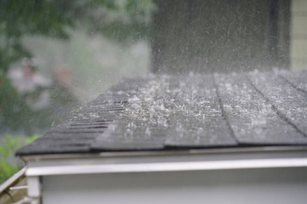Best Rubber Roofing (EPDM, TPO)  in Edmonston, MD
